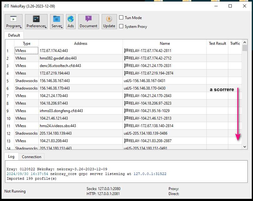 NekoRay lista Proxy