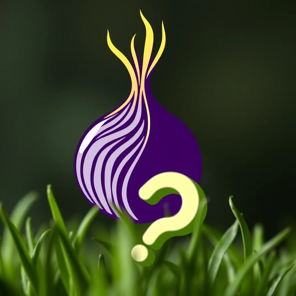 Tor