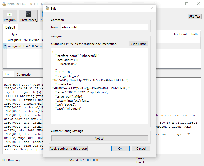 NekoBox wg config